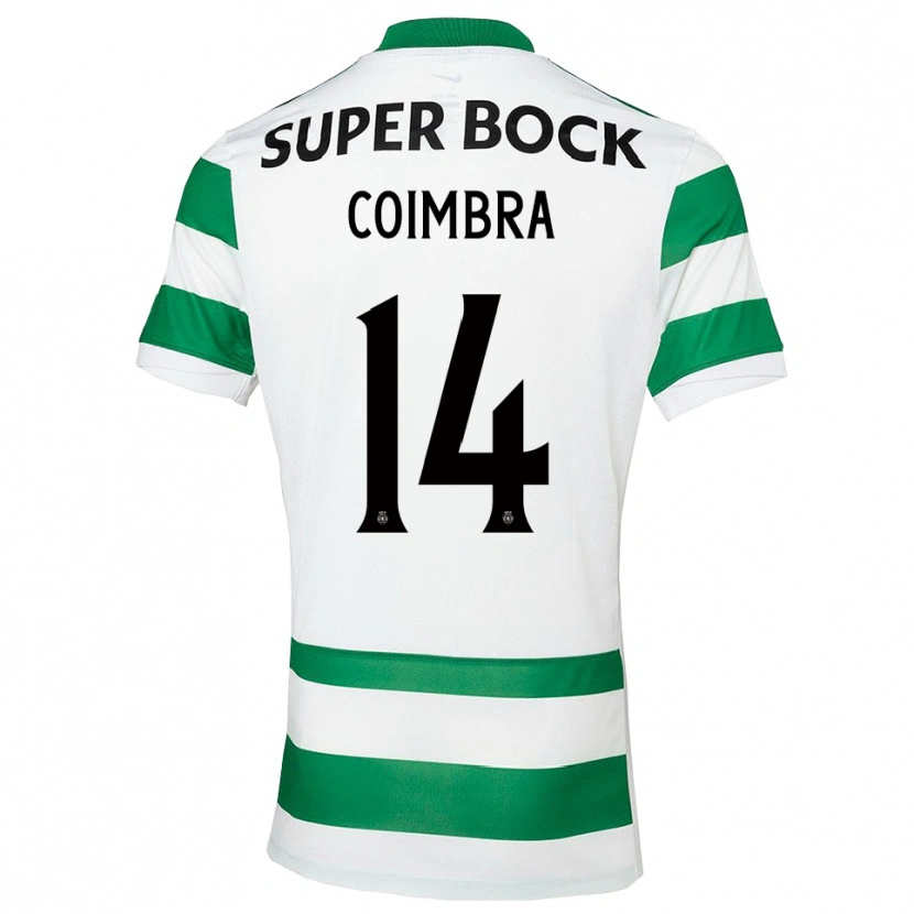 Danxen Criança Camisola Telmo Coimbra #14 Verde Branco Principal 2025/26 Camisa Brasil