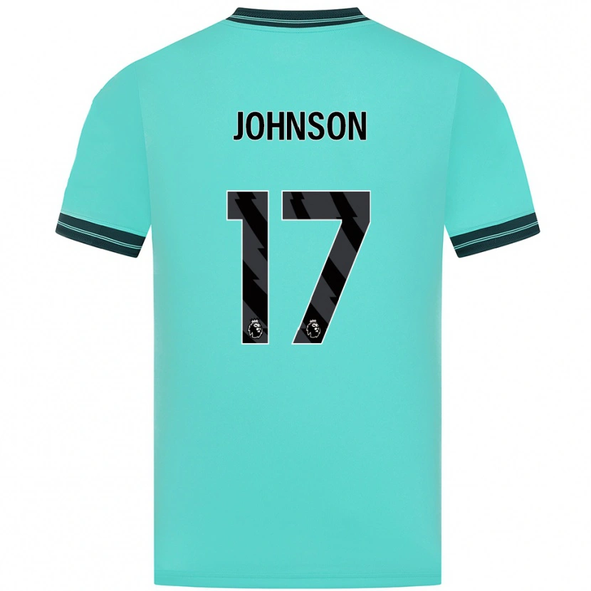 Danxen Criança Camisola Katie Johnson #17 Azul Celeste Verde Alternativa 2025/26 Camisa Brasil