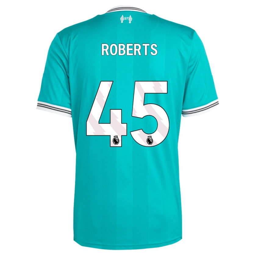 Danxen Criança Camisola Iwan Roberts #45 Verde Branco Terceiro 2025/26 Camisa Brasil