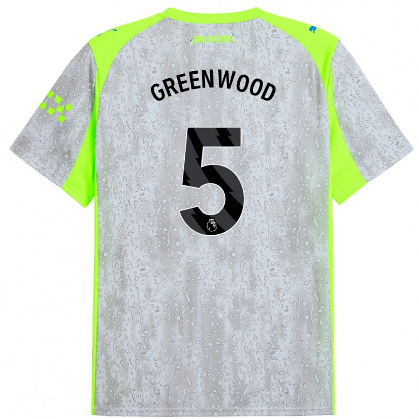 Danxen Criança Camisola Alex Greenwood #5 Cinza Amarelo Terceiro 2025/26 Camisa Brasil