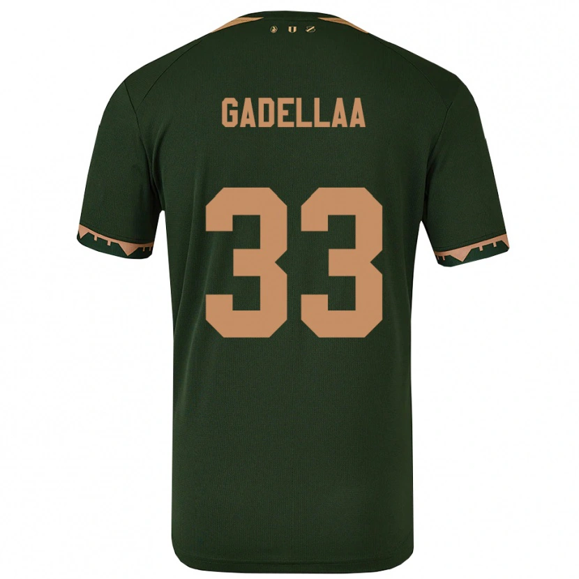 Danxen Homem Camisola Kevin Gadellaa #33 Verde Dourado Alternativa 2025/26 Camisa Brasil