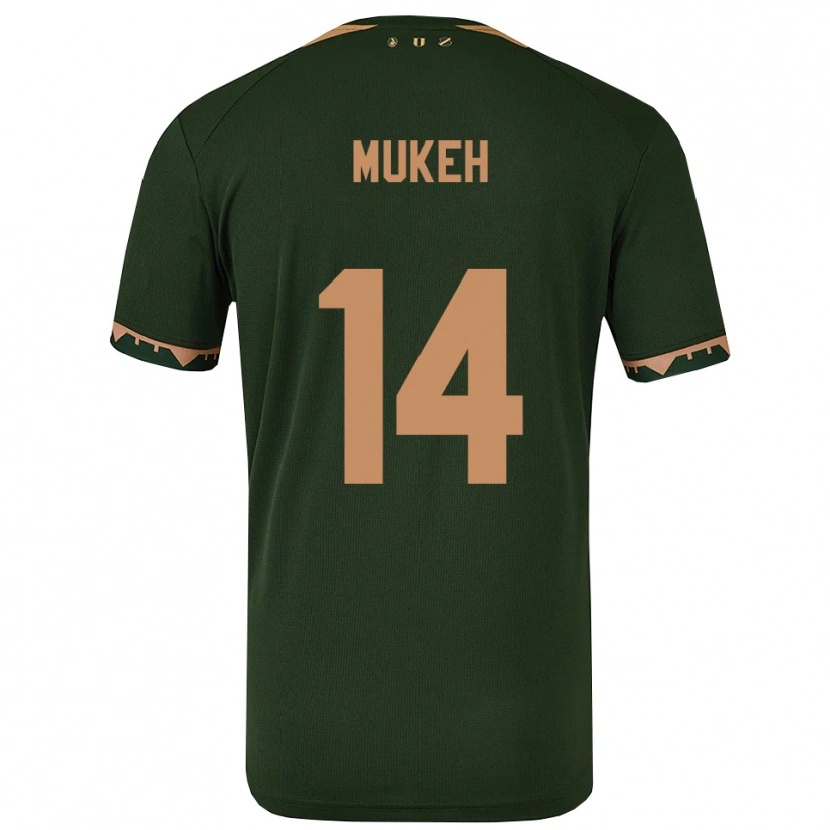 Danxen Homem Camisola Joshua Mukeh #14 Verde Dourado Alternativa 2025/26 Camisa Brasil
