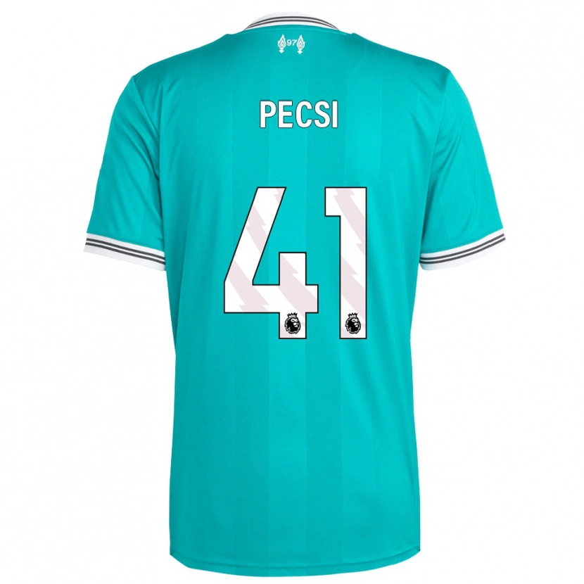 Danxen Homem Camisola Ármin Pécsi #41 Verde Branco Terceiro 2025/26 Camisa Brasil
