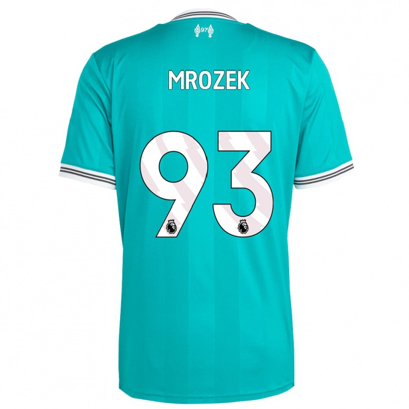 Danxen Homem Camisola Fabian Mrozek #93 Verde Branco Terceiro 2025/26 Camisa Brasil