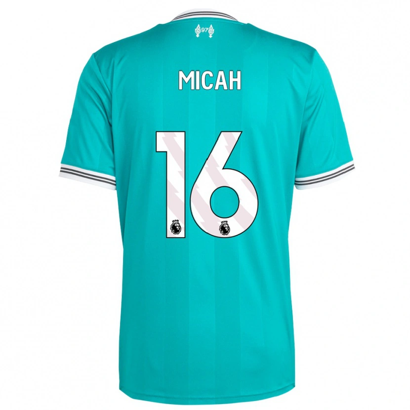 Danxen Homem Camisola Teagan Micah #16 Verde Branco Terceiro 2025/26 Camisa Brasil