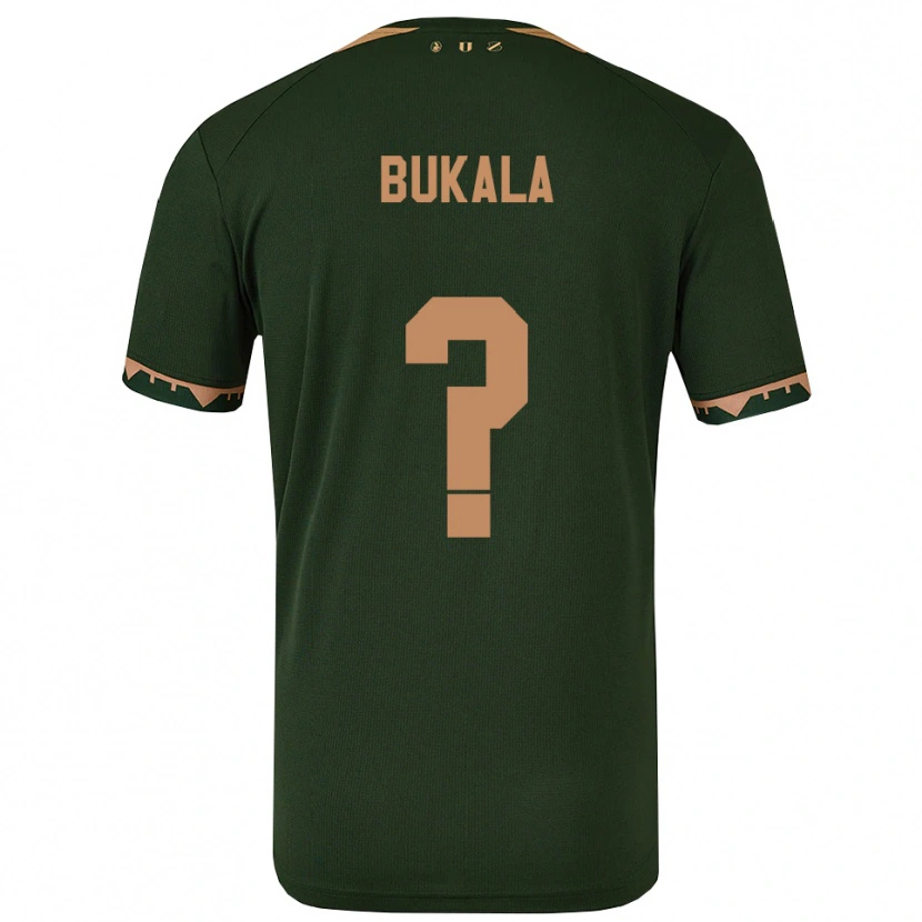 Danxen Mulher Camisola Nordin Bukala #0 Verde Dourado Alternativa 2025/26 Camisa Brasil