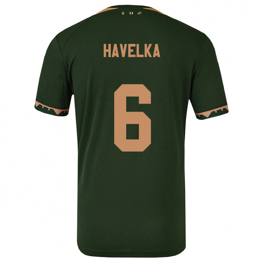 Danxen Mulher Camisola Matyas Havelka #6 Verde Dourado Alternativa 2025/26 Camisa Brasil