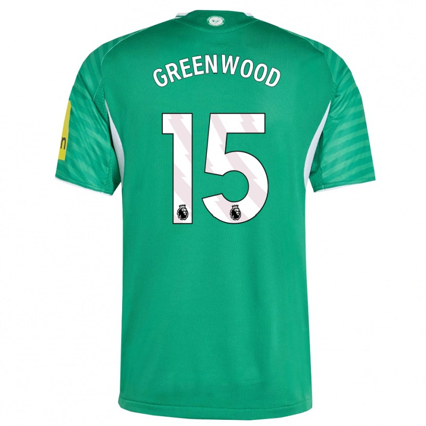 Danxen Mulher Camisola Hannah Greenwood #15 Verde Branco Alternativa 2025/26 Camisa Brasil