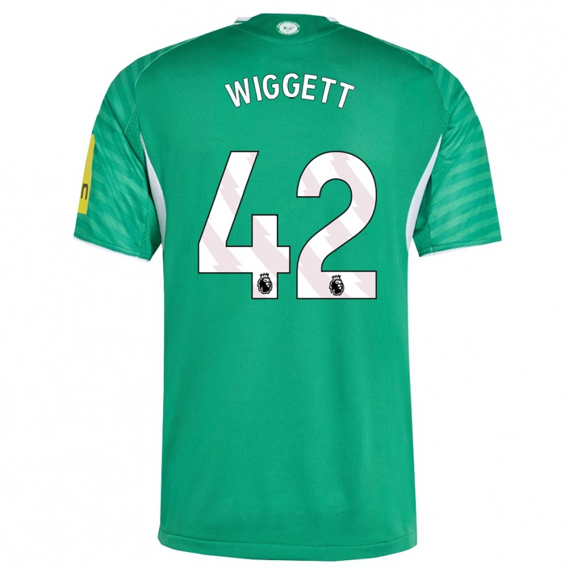 Danxen Mulher Camisola Charlie Wiggett #42 Verde Branco Alternativa 2025/26 Camisa Brasil