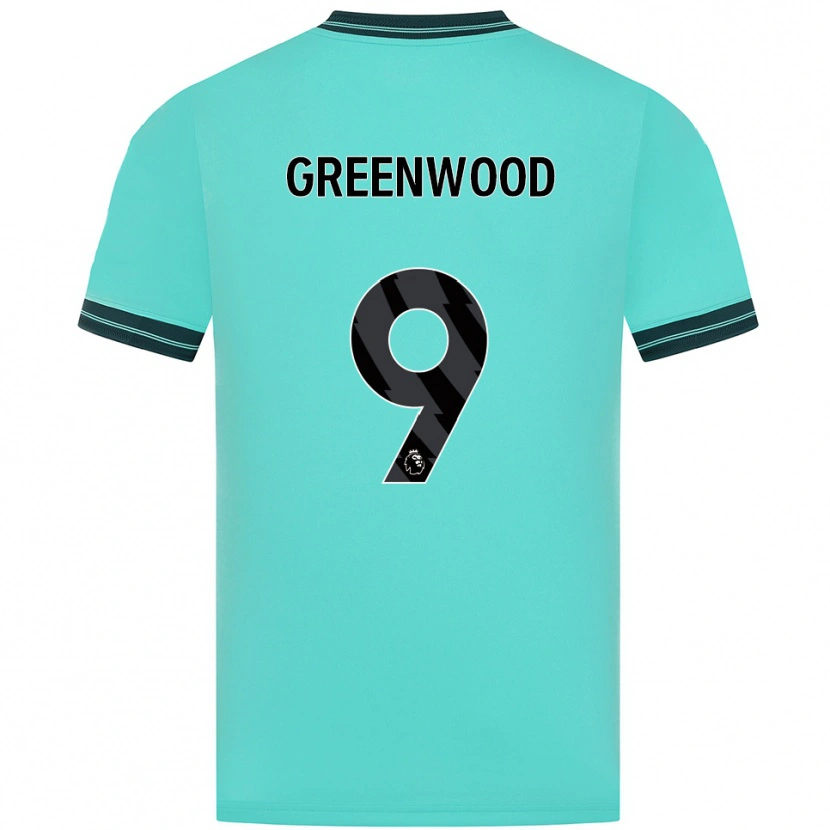 Danxen Mulher Camisola Jashayde Greenwood #9 Azul Celeste Verde Alternativa 2025/26 Camisa Brasil