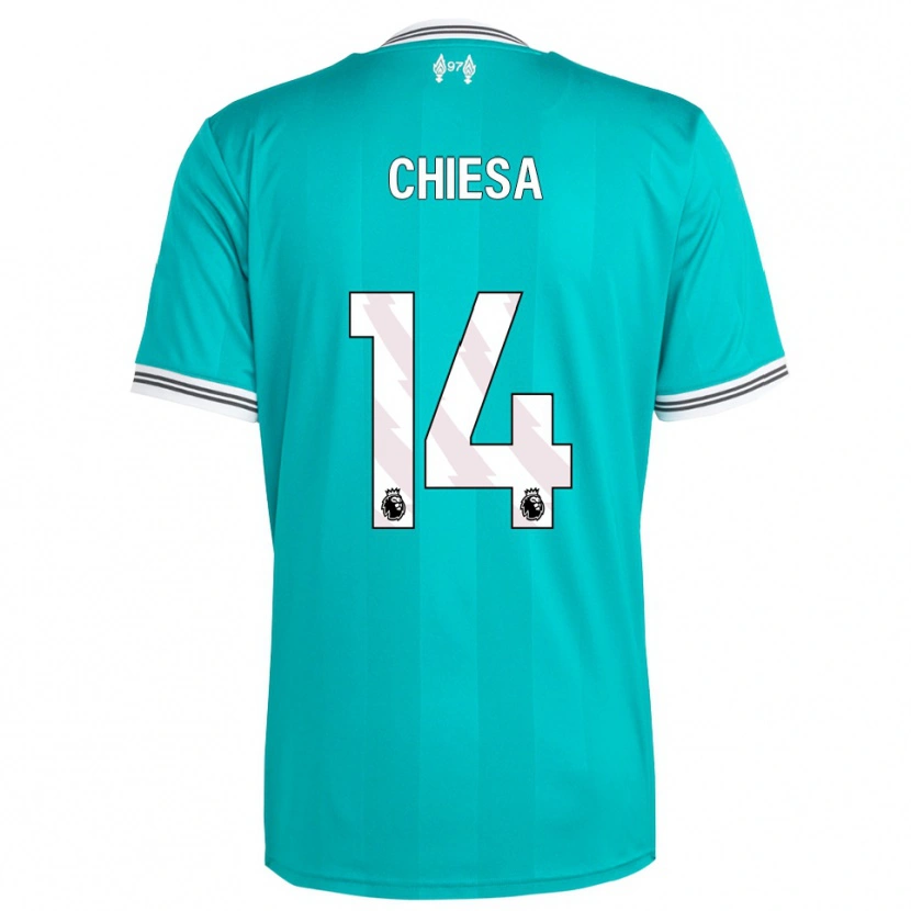 Danxen Mulher Camisola Federico Chiesa #14 Verde Branco Terceiro 2025/26 Camisa Brasil