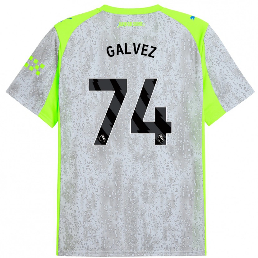 Danxen Mulher Camisola Tomas Galvez #74 Cinza Amarelo Terceiro 2025/26 Camisa Brasil