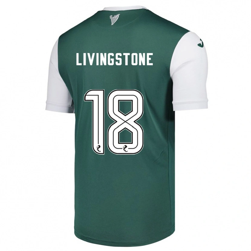 Danxen Homem Camisola Rosie Livingstone #18 Verde Branco Principal 2025/26 Camisa Brasil