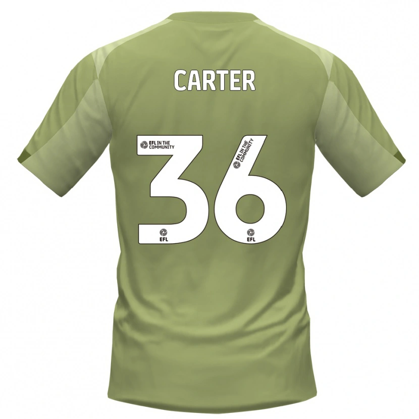 Danxen Homem Camisola Dan Carter #36 Sálvia Champagne Alternativa 2025/26 Camisa Brasil