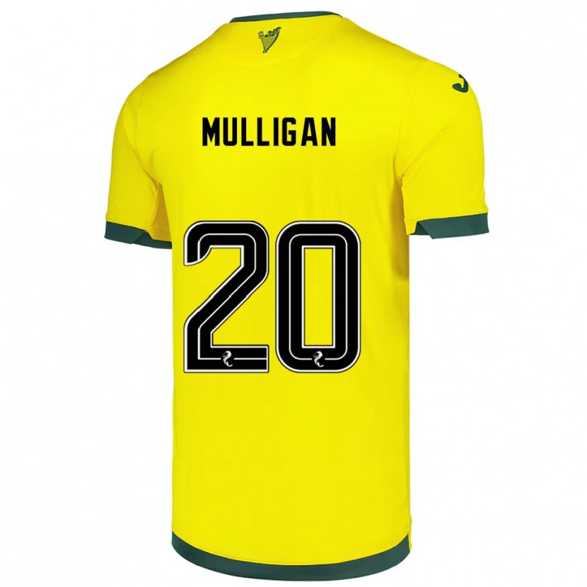 Danxen Homem Camisola Josh Mulligan #20 Amarelo Verde Alternativa 2025/26 Camisa Brasil