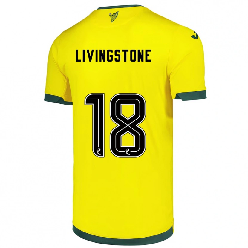 Danxen Homem Camisola Rosie Livingstone #18 Amarelo Verde Alternativa 2025/26 Camisa Brasil
