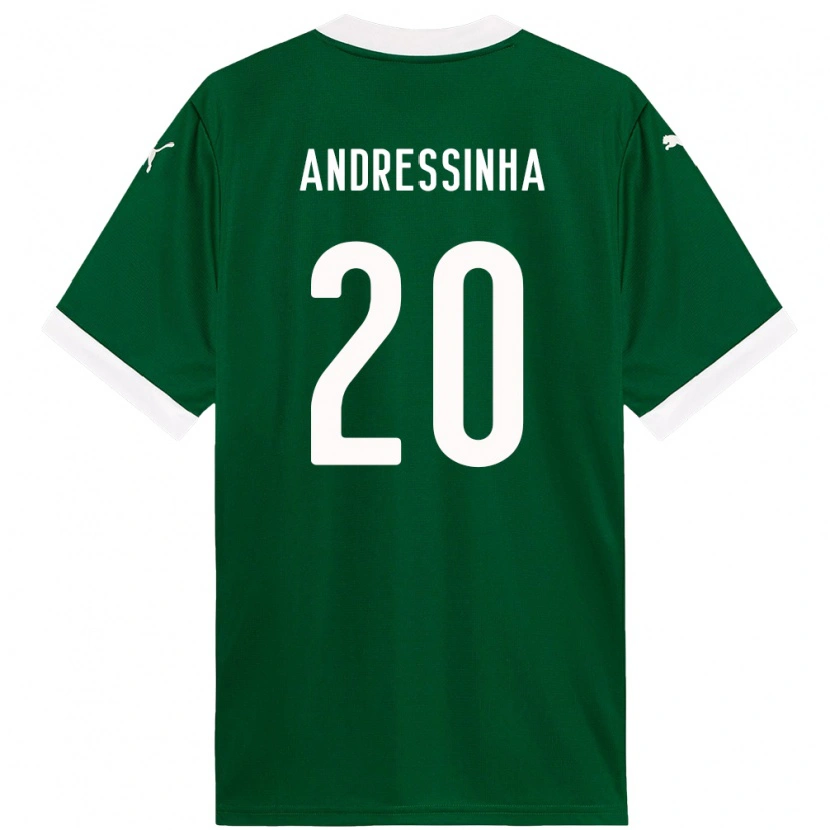 Danxen Criança Camisola Andressinha #20 Verde Branco Principal 2025/26 Camisa Brasil