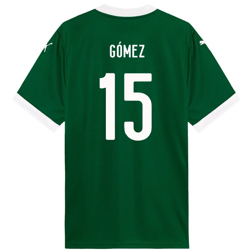 Danxen Homem Camisola Gustavo Gómez #15 Verde Branco Principal 2025/26 Camisa Brasil