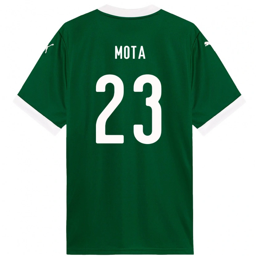 Danxen Homem Camisola Flávia Mota #23 Verde Branco Principal 2025/26 Camisa Brasil