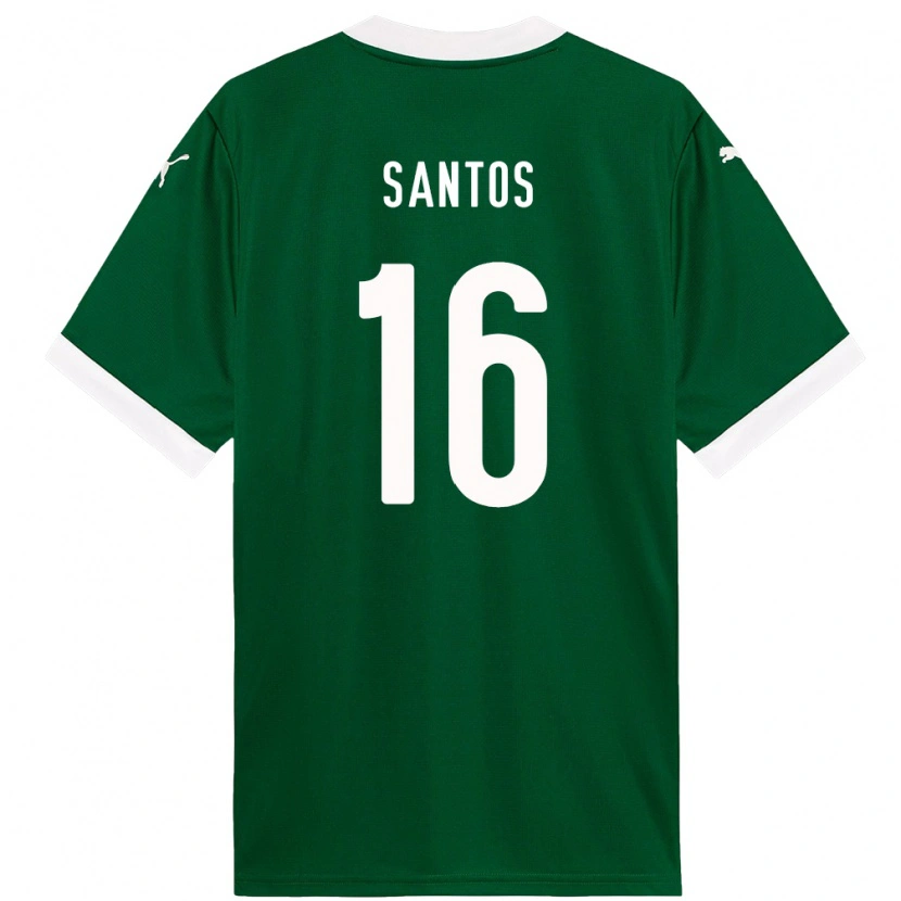 Danxen Mulher Camisola Gaby Santos #16 Verde Branco Principal 2025/26 Camisa Brasil