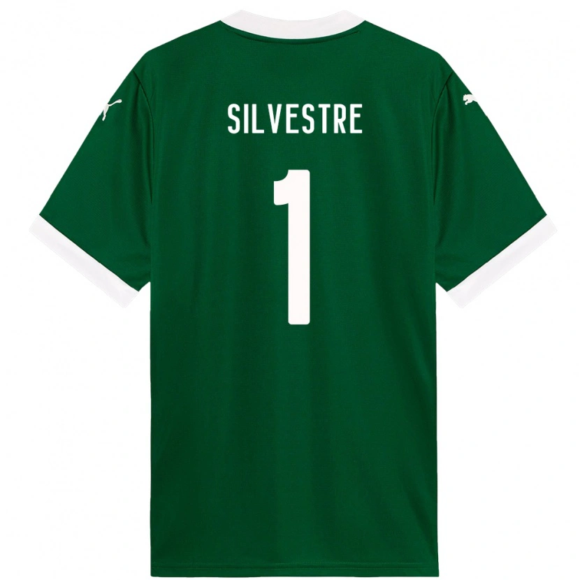 Danxen Mulher Camisola Vinicius Silvestre #1 Verde Branco Principal 2025/26 Camisa Brasil
