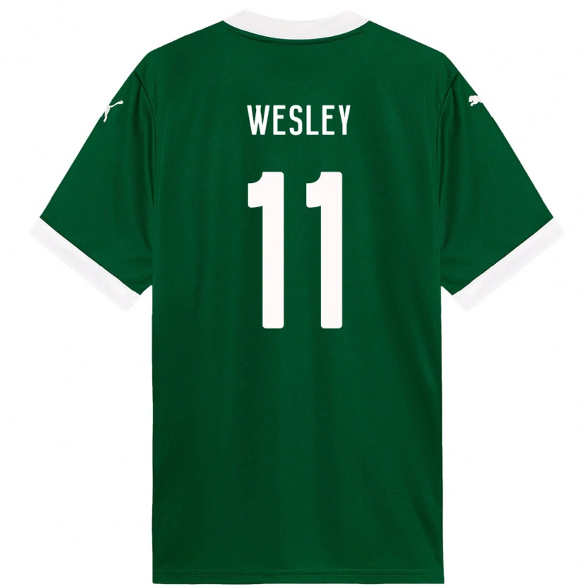 Danxen Mulher Camisola Wesley #11 Verde Branco Principal 2025/26 Camisa Brasil