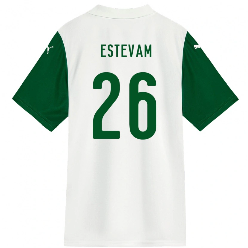 Danxen Mulher Camisola Laís Estevam #26 Branco Verde Alternativa 2025/26 Camisa Brasil