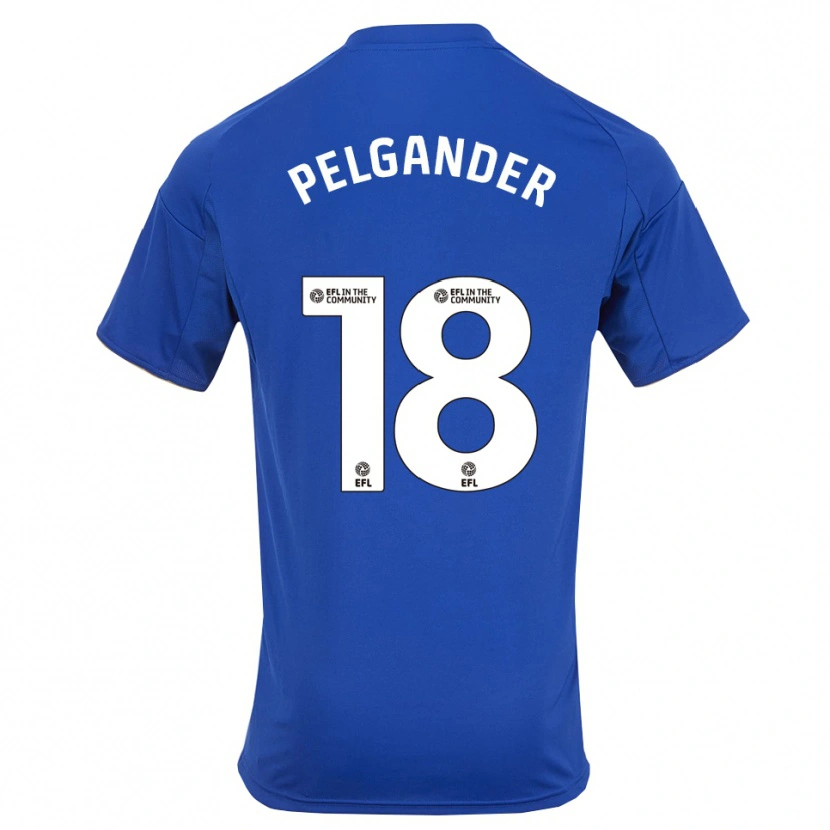Danxen Criança Camisola Emilia Pelgander #18 Azul Dourado Principal 2025/26 Camisa Brasil