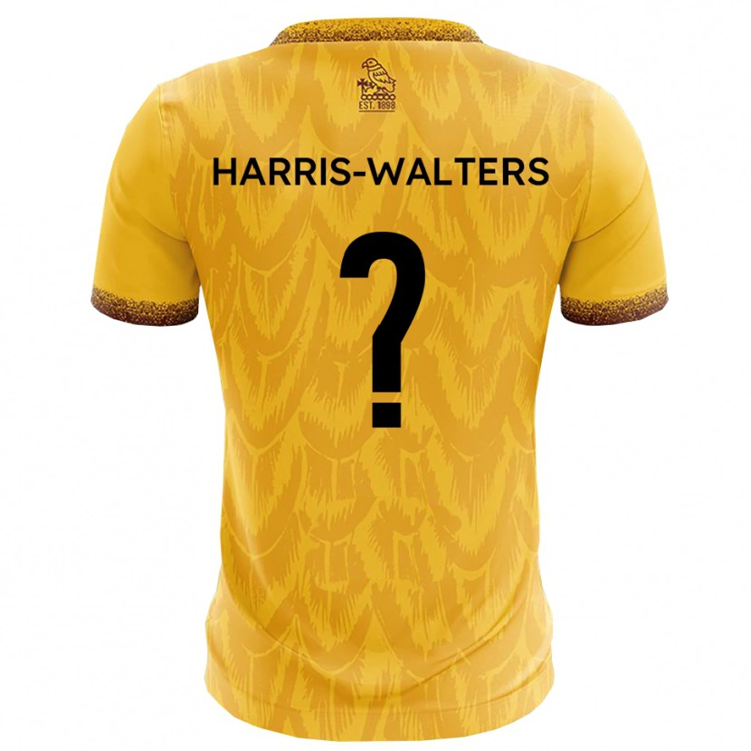 Danxen Criança Camisola Ilanna Harris-Walters #0 Amarelo Marrom Principal 2025/26 Camisa Brasil