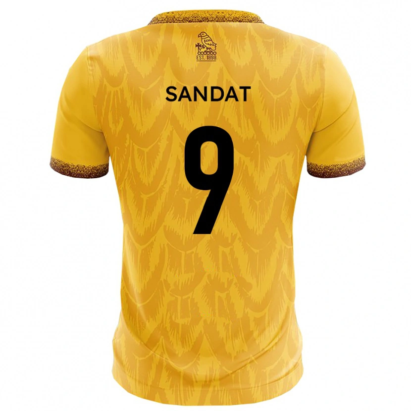 Danxen Criança Camisola Henry Sandat #9 Amarelo Marrom Principal 2025/26 Camisa Brasil