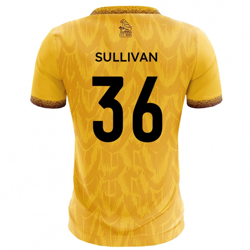 Danxen Criança Camisola Cameron Sullivan #36 Amarelo Marrom Principal 2025/26 Camisa Brasil