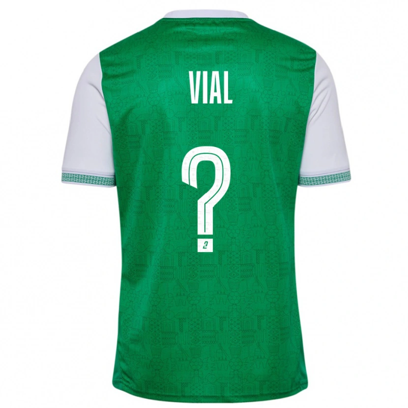 Danxen Criança Camisola Lorik Vial #0 Verde Branco Principal 2025/26 Camisa Brasil