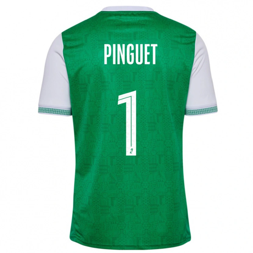 Danxen Homem Camisola Alice Pinguet #1 Verde Branco Principal 2025/26 Camisa Brasil