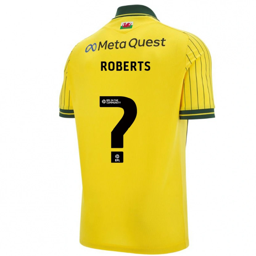 Danxen Homem Camisola Hari Roberts #0 Amarelo Verde Alternativa 2025/26 Camisa Brasil