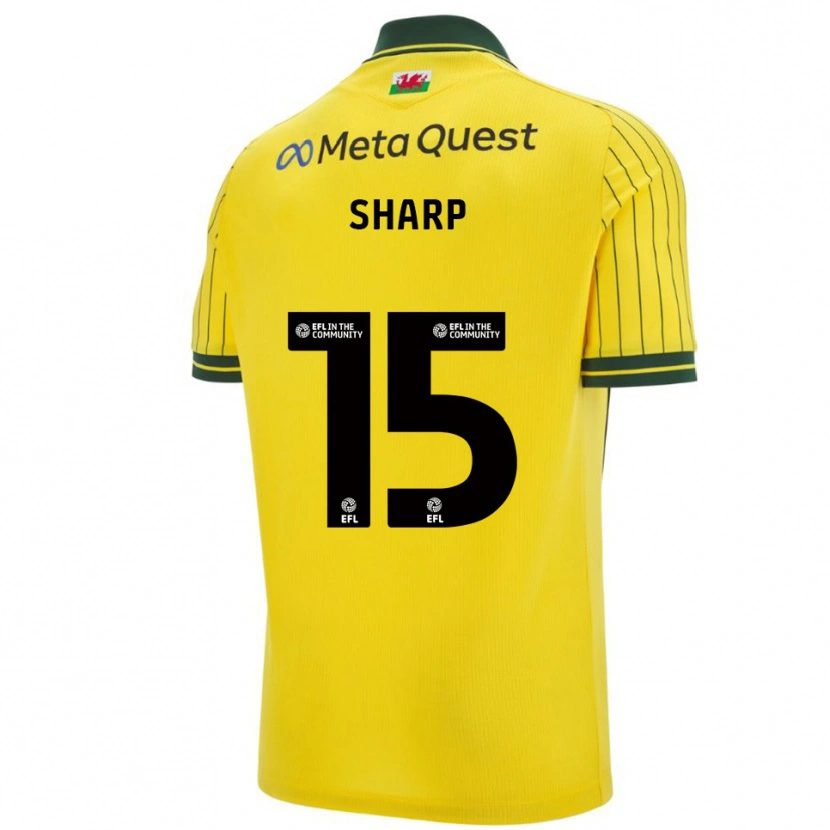 Danxen Homem Camisola Katie Sharp #15 Amarelo Verde Alternativa 2025/26 Camisa Brasil