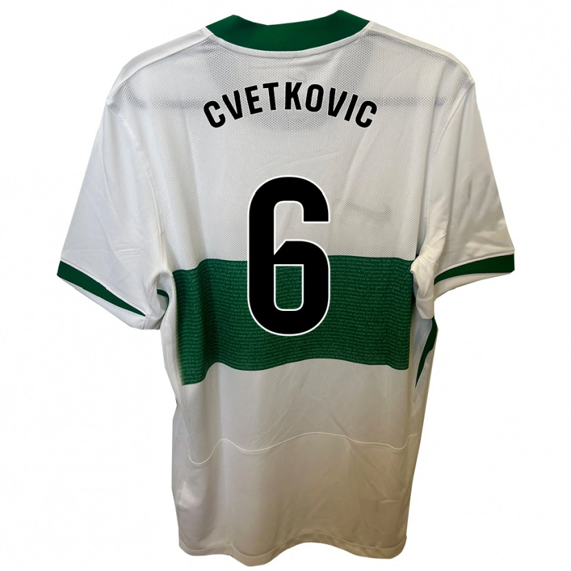 Danxen Criança Camisola Novak Cvetkovic #6 Branco Verde Principal 2025/26 Camisa Brasil