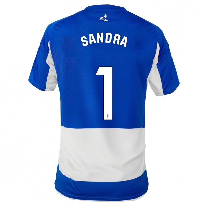 Danxen Homem Camisola Sandra #1 Azul Branco Alternativa 2025/26 Camisa Brasil