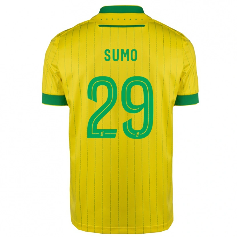 Danxen Mulher Camisola Eva Sumo #29 Amarelo Verde Principal 2025/26 Camisa Brasil