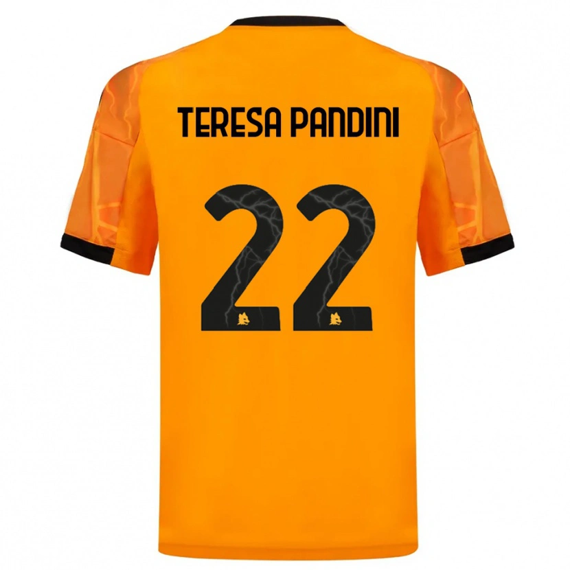 Danxen Criança Camisola Marta Teresa Pandini #22 Laranja Preto Alternativa 2025/26 Camisa Brasil
