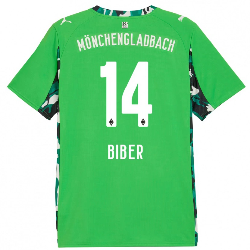 Danxen Homem Camisola Edin Biber #14 Verde Preto Alternativa 2025/26 Camisa Brasil