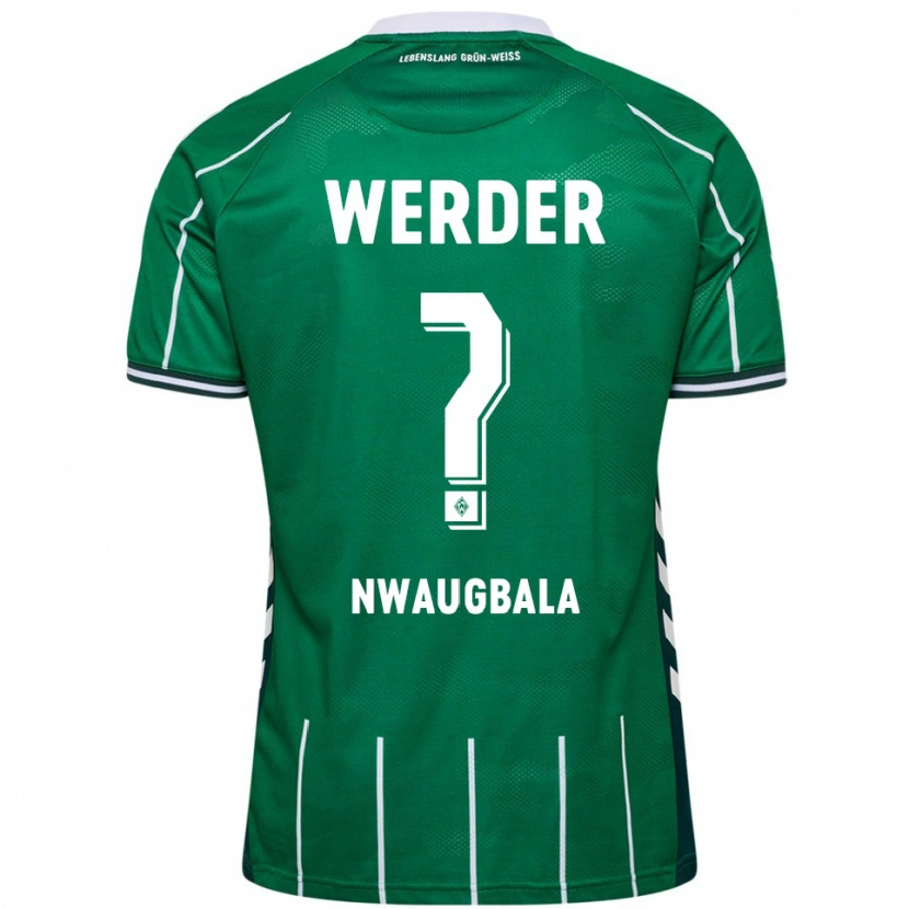 Danxen Mulher Camisola Kevin Nwaugbala #0 Verde Branco Principal 2025/26 Camisa Brasil