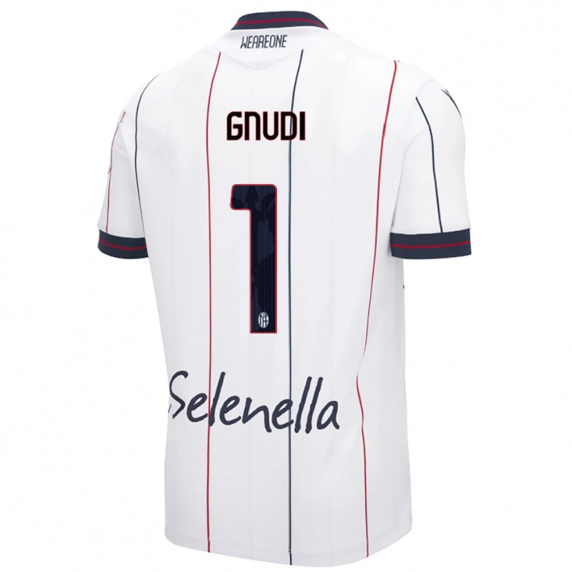 Danxen Mulher Camisola Riccardo Gnudi #1 Branco Azul Royal Alternativa 2025/26 Camisa Brasil