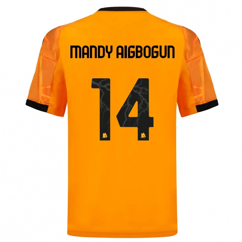 Danxen Mulher Camisola Eseosa Mandy Aigbogun #14 Laranja Preto Alternativa 2025/26 Camisa Brasil