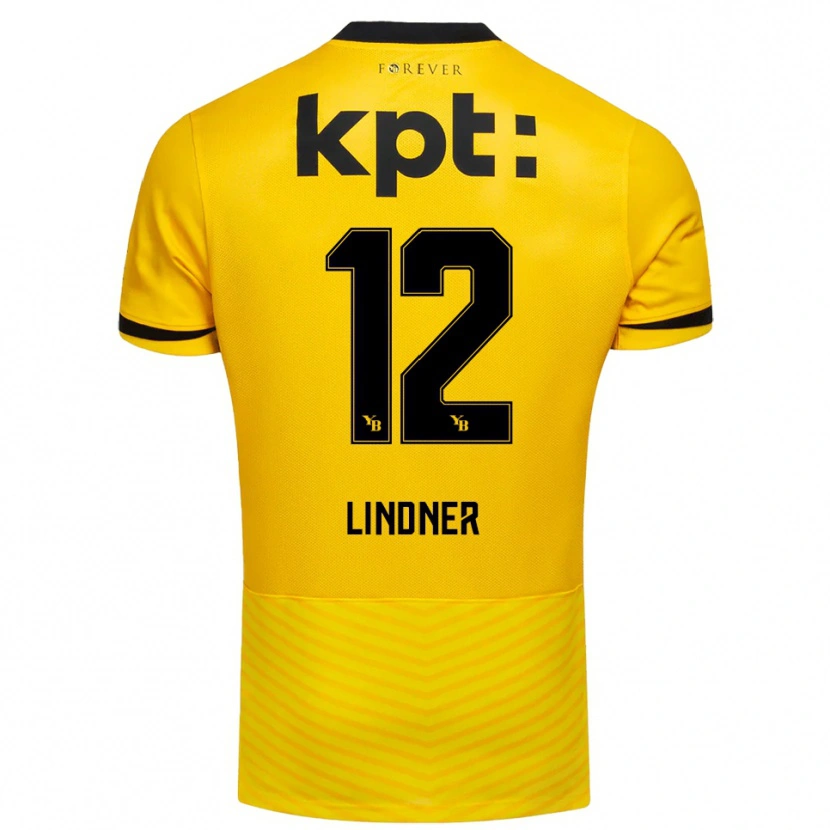 Danxen Criança Camisola Heinz Lindner #12 Amarelo Preto Principal 2025/26 Camisa Brasil