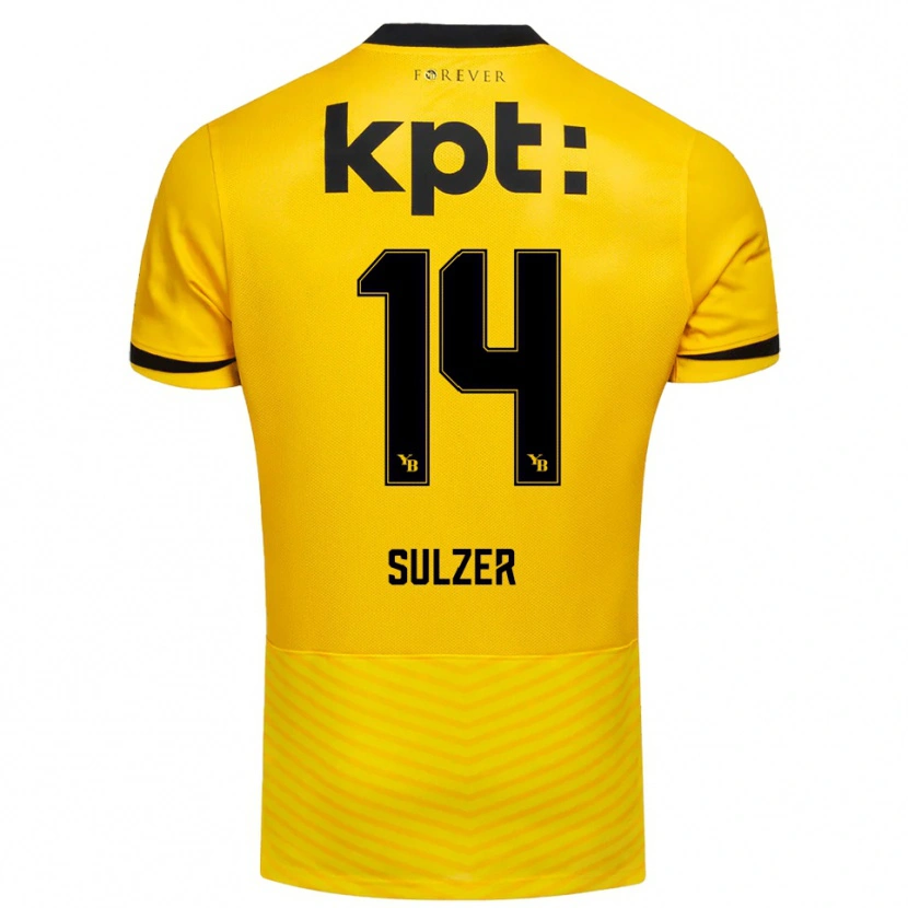 Danxen Homem Camisola Ilija Sulzer #14 Amarelo Preto Principal 2025/26 Camisa Brasil