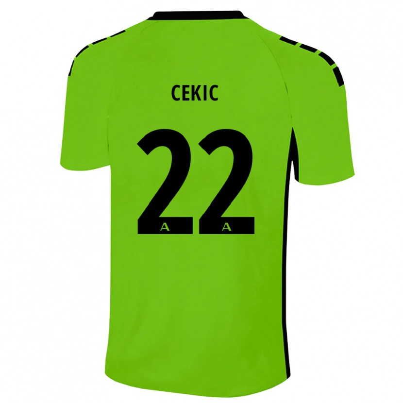 Danxen Criança Adnan Cekic #22 Verde Grama Preto Camisola Guarda-Redes 2025/26 Camisa Brasil