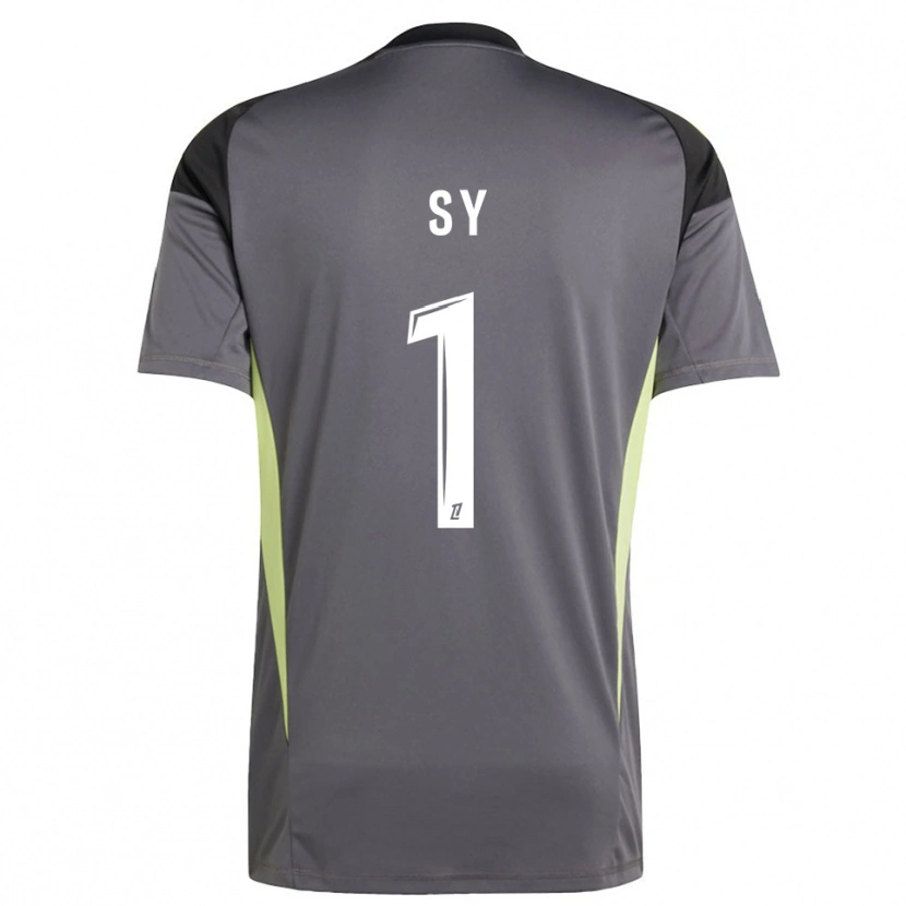 Danxen Criança Seydou Sy #1 Cinza Escuro Verde Camisola Guarda-Redes 2025/26 Camisa Brasil