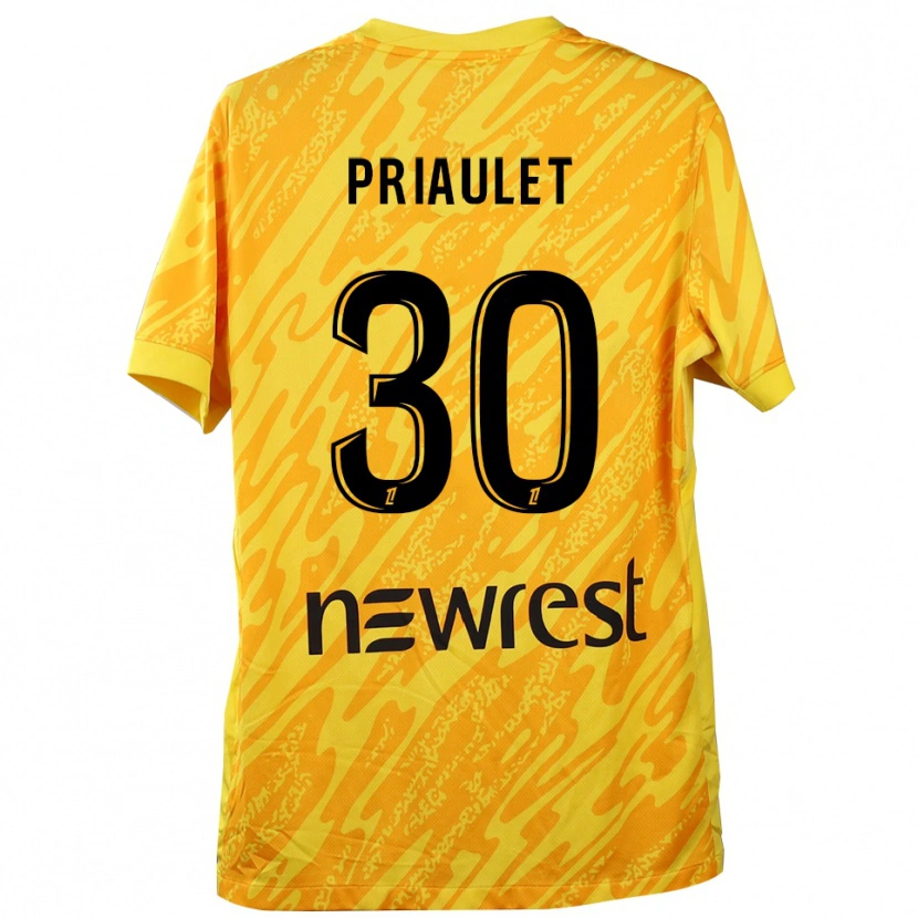 Danxen Criança Anaïs Priaulet #30 Amarelo Preto Camisola Guarda-Redes 2025/26 Camisa Brasil