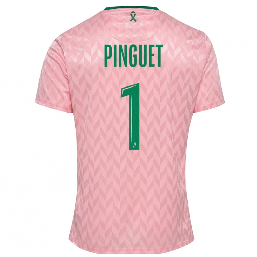 Danxen Criança Alice Pinguet #1 Verde Rosa Camisola Guarda-Redes 2025/26 Camisa Brasil