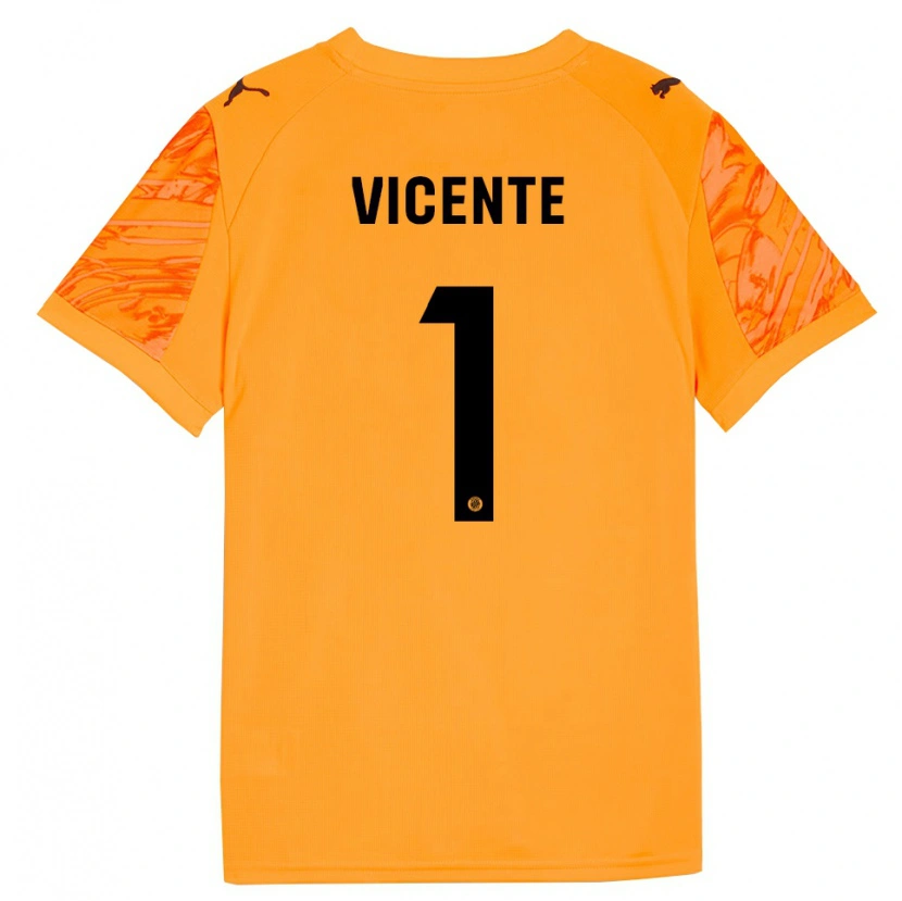 Danxen Criança Diego Vicente #1 Laranja Preto Camisola Guarda-Redes 2025/26 Camisa Brasil